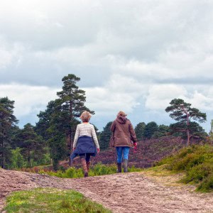 zwei Frauen wandern, Wegbegleitung