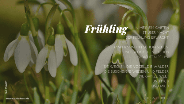 fruehlingserwachen