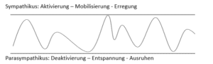 Window of Toleranz - Sympathikus und Parasympatikus